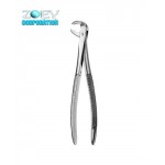 European Dental Extraction Forceps