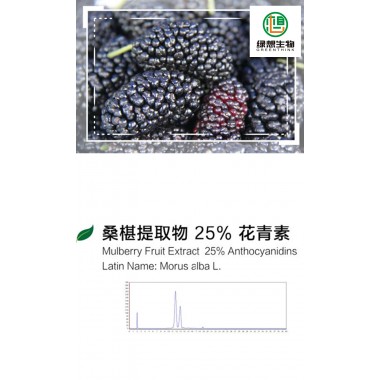 Mulberry Extract