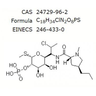 Clindamycin Phosphate