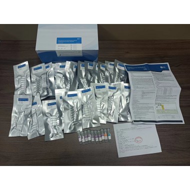 Detection Kit for the Mutation of EGFR(PCR Fluorescent Probe Method)