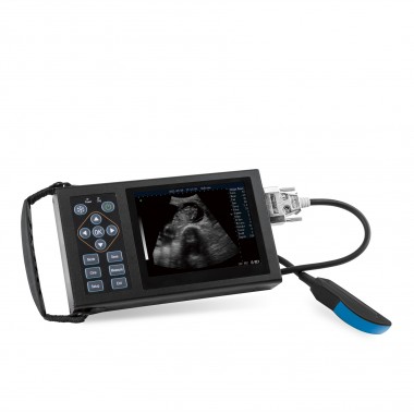Color ultrasound with HD display for animals