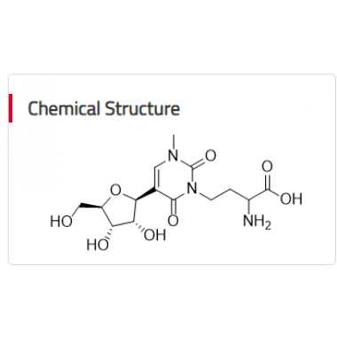 3-(3-Amino-3-carboxypropyl)-1-methylpseudoUridine