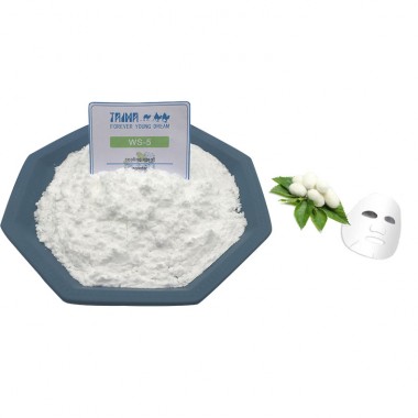 White Powder WS-3 Cooling Agent Physiological Coolant For Toothpaste Additive