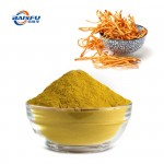 Wholesale Food Grade Cordycepin CAS:73-03-0 for Flavor