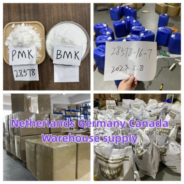 CAS 28578-16-7 PMK powder