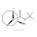exo-3-aMino-9-boc-9-azabicyclo[3.3.1]nonane,CAS No.: 1363380-67-9,bridge-ring,building block