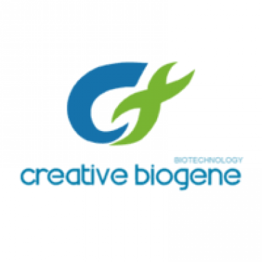 Gibberellin Fermentation Technology Transfer