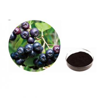 ISO Certificated 100% Natural Aronia Melanocarpa Extract Powder,20-60% anthocyanidin,Aronia Chokeberry Extract