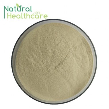 Iso9001 Factory Supply Banana Powder for bodybuilding supplements