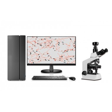 QB-200 WHO 4th Semen Analyzer