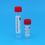 Saliva DNA Preservation Solution for DNA Testing