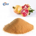Manufacture Hot Sale  Ellagic acid CAS 476-66-4 for Food Additives