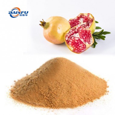 Manufacture Hot Sale  Ellagic acid CAS 476-66-4 for Food Additives