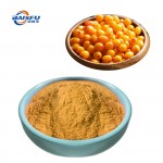 BAISFU Concentrated 99%Sea buckthorn extracts CAS:90106-68-6 for Food Additives