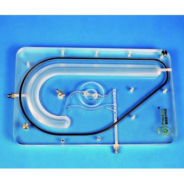 Planar Left Coronary Vessel Model (Aortic Approach)