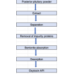 Oxytocin is a natural human hormone that is secreted by the hypothalamus and stored in the pituitary gland