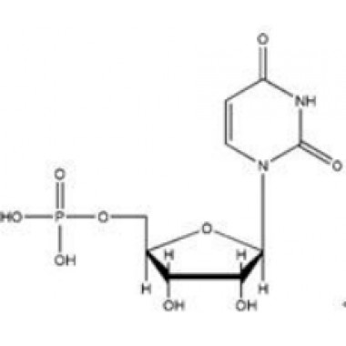 Uridine 5'-monophosphate(UMP-H)