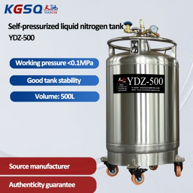 Czech Liquid Nitrogen Dewar Pressure Cryogenic Canister Medical