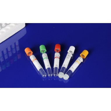 Disposable Vacuum Blood Collection Tube