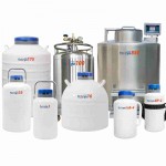 Cote D'Ivoire Liquid Nitrogen Cans Liquid Nitrogen Jar Frozen Sperm