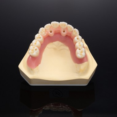 dental denture export factory China