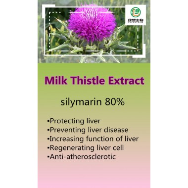 Milk Thistle Extract