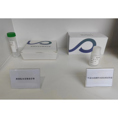 Human SDC2 Gene Methylation Detection Kit (Fluorescent PCR)