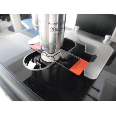 Disposable Sperm Counting Chamber/Slides