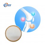 Manufacture Hot Sale Chondroitin Sulphate CAS:9007-28-7 for Food Additives
