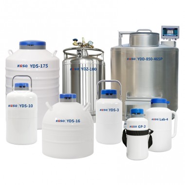 Switzerland Liquid Nitrogen Tank Cell Storage Cryo Vessel