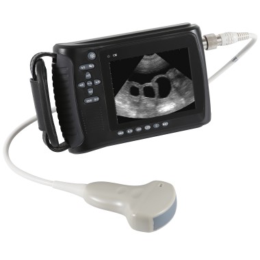B Ultrasound Scanner for  Animal