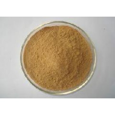 Herba Houttuyniae