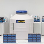 Myanmar Liquid Nitrogen Storage Tank Suppliers