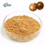 Manufacture Hot Sale Momordica grosvenori CAS 88901-36-4 for Food Additives