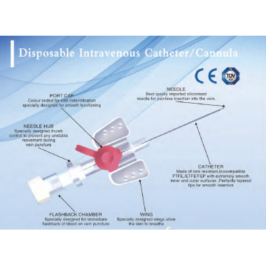 disposable Intravenous catheter