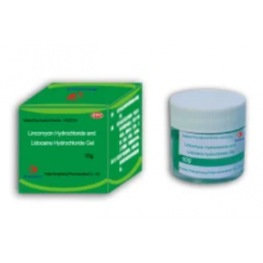 Lincomycin Hydrochloride and Lidocaine Hydrochloride Gel