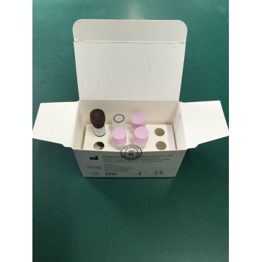 Novel Coronavirus (2019-nCoV) RT-PCR Detection Kit