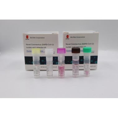 PCR Test Kit Cov-19 Rapid Test Kit Cov Test Kit Detection Antibody(48kits)