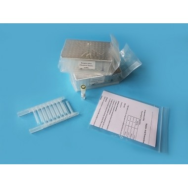 Bacterial Genomic DNA Extraction Kit