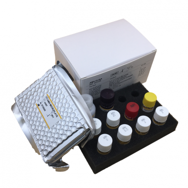 AMH ELISA TEST KIT