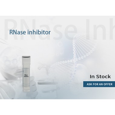 Rnase Inhibitor Remombinant,Murine