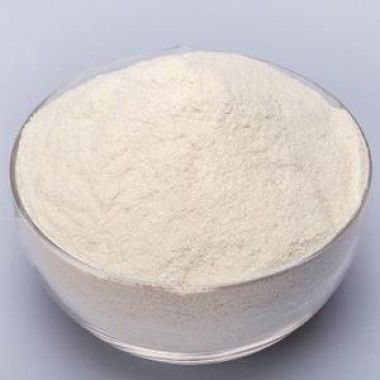 N-Acetyl Carnosine