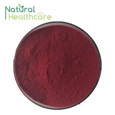 Anthocyanidins Cranberry Extract Powder UV HPLC DMAC Kosher