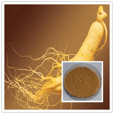 Ginseng Root Extract