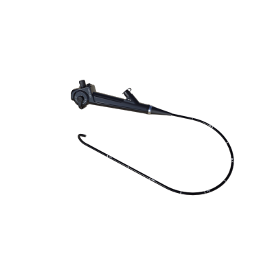 Flexible veterinary bronchoscope endoscope cost effective portable
