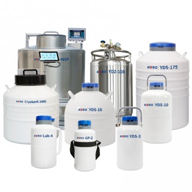Swaziland Liquid Nitrogen Tank Cell Storage Cryo Vessel