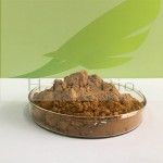 Citrus Aurantium Extract(Synephrine)