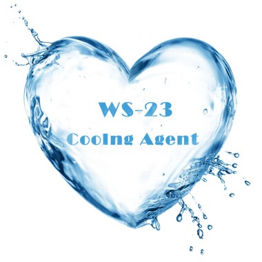 Food Grade Mint Cooler WS-23 For Facial Cleanser Cool CAS 51115-67-4