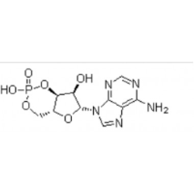 Adenosine 3',5'-cyclic monophosphate (CAMP)
