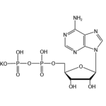 Adenosine 5\'-diphosphate monopotassium salt(ADP-K)